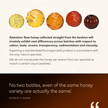 Load image into Gallery viewer, KEYNOTE® Kashmir Multi Honey | Eco Box 320 Grams