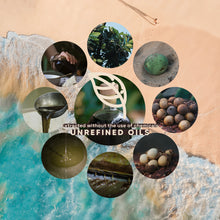 Load image into Gallery viewer, ETHERVA™ Tamanu Oil | Cold Pressed, Unrefined & Raw | 0.62 L | 1.24 L