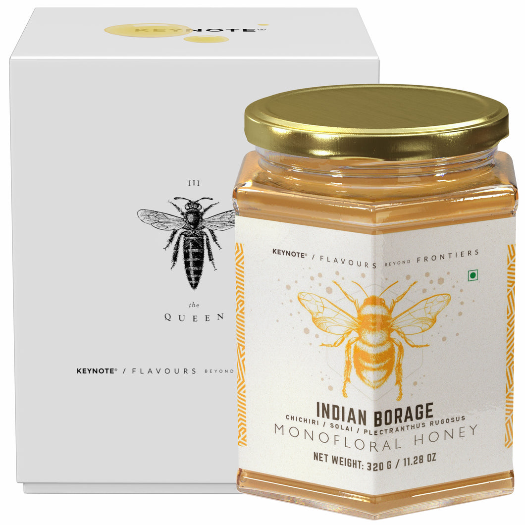 KEYNOTE® Indian Borage Honey | Chichiri | NMR Tested and Certified | Gift Box 320 Grams