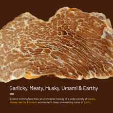 Load image into Gallery viewer, KEYNOTE® White Truffle Honey | NMR Tested and Certified | 320 Grams
